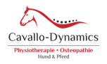 Kooperationspartner: Cavallo-Dynamics
