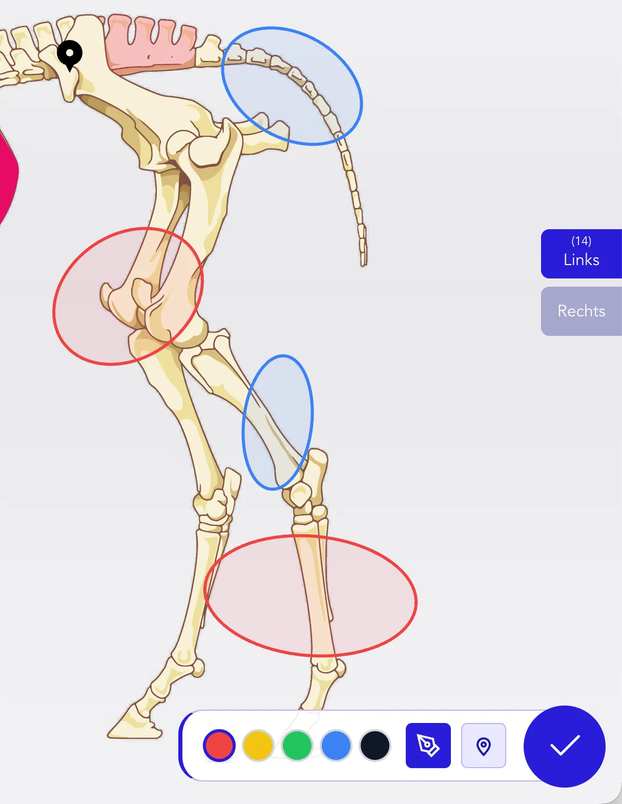Mobile Befundung
