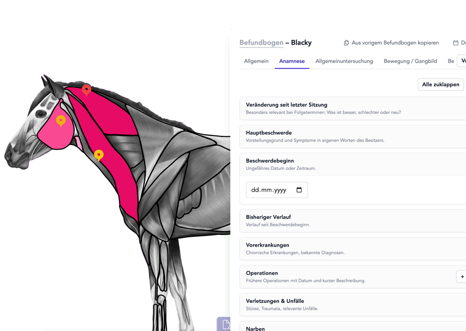 Praxis-Software für Tiertherapeuten, Tierheilpraktiker & mobile Therapeuten