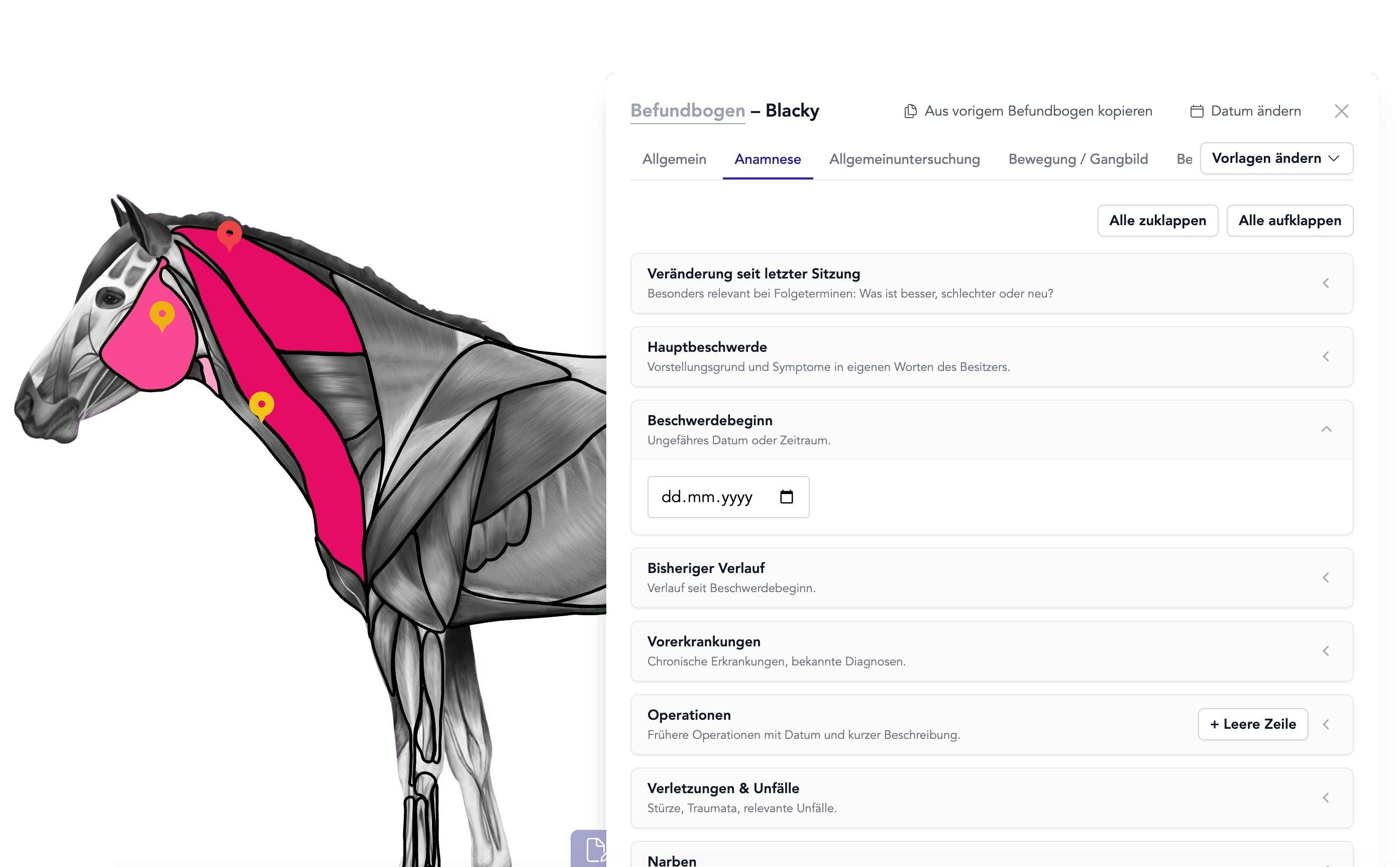Praxis-Software für Tierärzt:in, Therapeut:in & Heilpraktiker:in