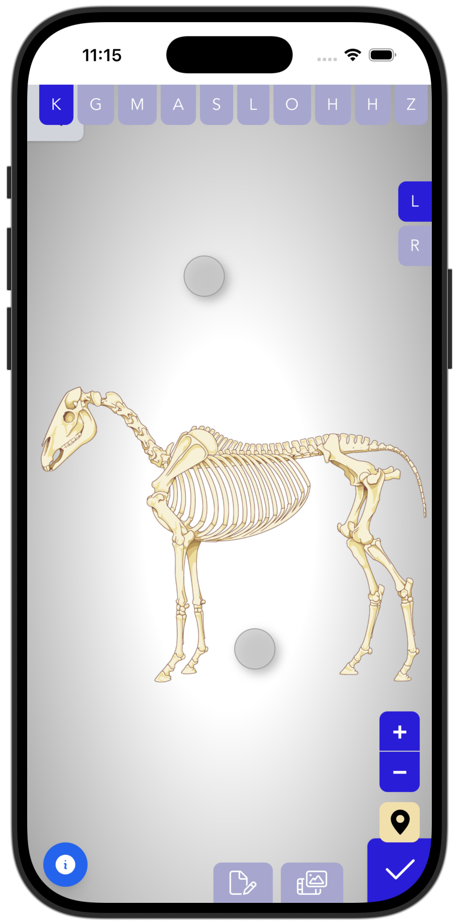 TheraTap-App: Behandlung