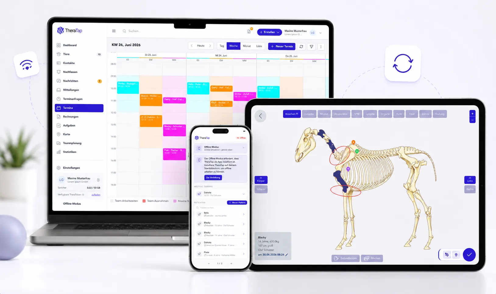 TheraTap App synchron auf Laptop, Tablet und Smartphone